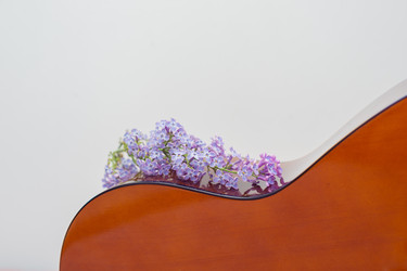 Similar image 22561922