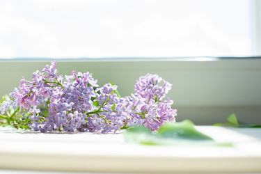 Similar image 22561923