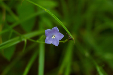 Similar image 22561924