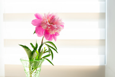 Similar image 22561929