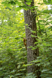 Similar image 22561930