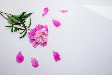 Similar image 22561932