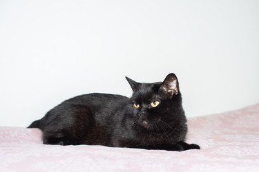 Similar image 22561933