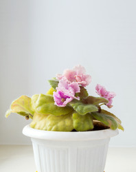 Similar image 22561944