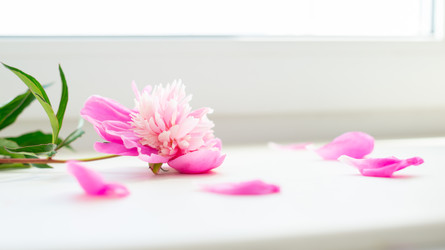 Similar image 22561949