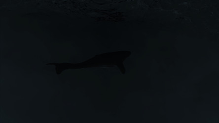 Similar image 22573893