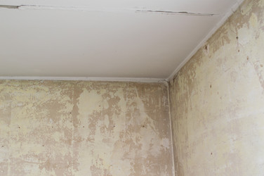 Similar image 22561879