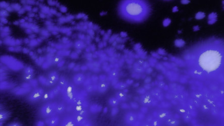 Similar image 22564704