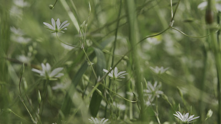 Similar image 22567517