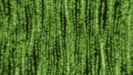 Similar image 22571270