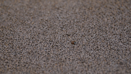 Similar image 22572527