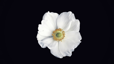 Similar image 22565789