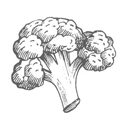 Similar image 22558960