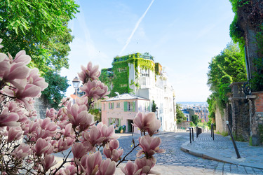 Similar image 22587448