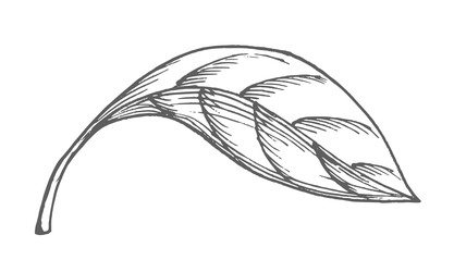 Similar image 22558961