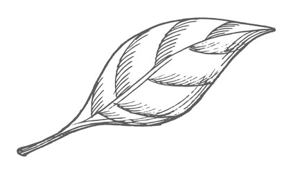 Similar image 22558964