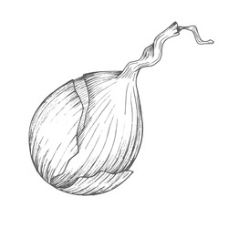 Similar image 22558965