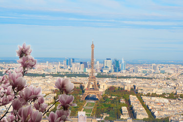 Similar image 22587865