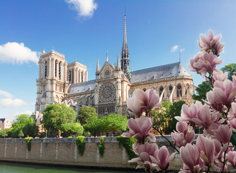 Similar image 22587866