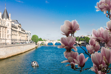 Similar image 22587956