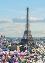 Similar image 22587957