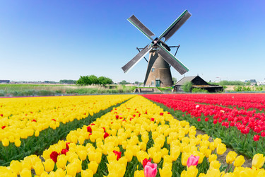 Similar image 22587040