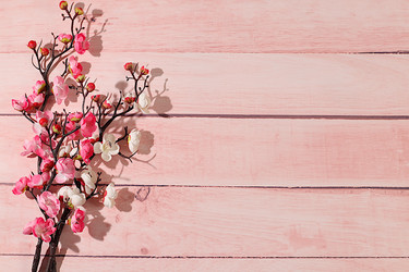 Similar image 22558928