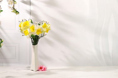 Similar image 22558929