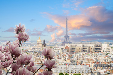 Similar image 22587056