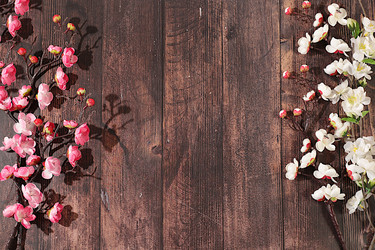 Similar image 22558930