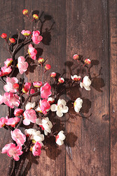 Similar image 22558931