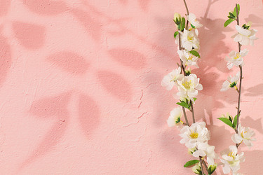 Similar image 22558932