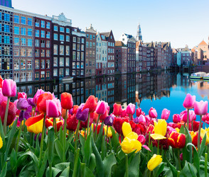 Similar image 22587103