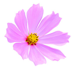 Similar image 22574942