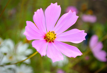 Similar image 22574943