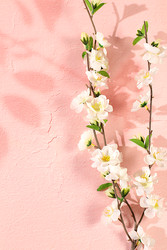 Similar image 22558935