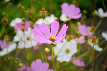 Similar image 22574944