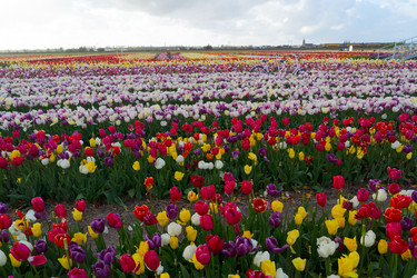 Similar image 22587130