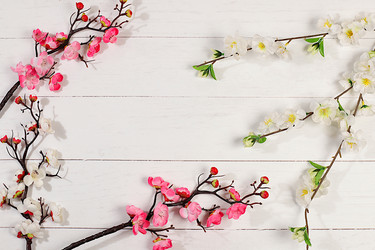 Similar image 22558936