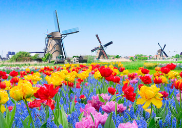 Similar image 22587314