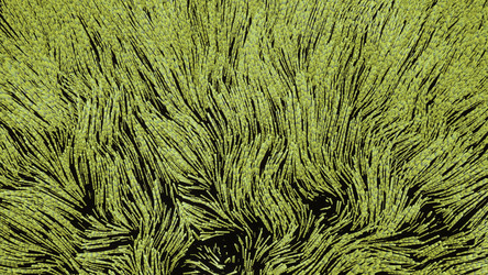 Similar image 22566440