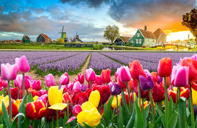 Similar image 22587431