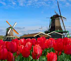 Similar image 22587432