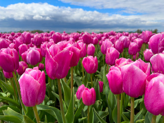 Similar image 22587460