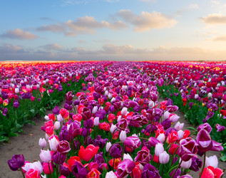 Similar image 22587461