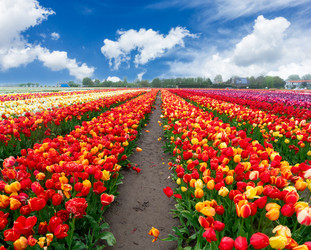 Similar image 22587462