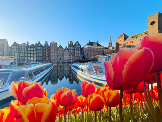 Similar image 22587463