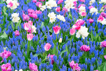 Similar image 22587475