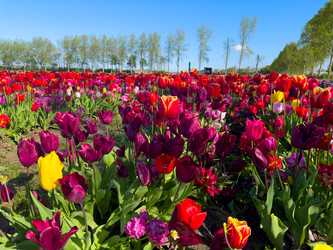 Similar image 22587476