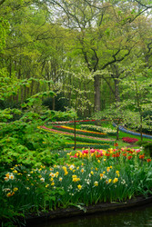 Similar image 22587492